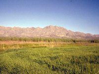 G08L0019.JPG