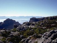 G08L0035.JPG