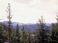 G08L0041.JPG