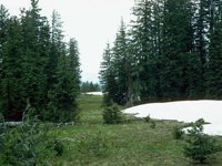 G08L0043.JPG