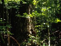 G08L0045.JPG