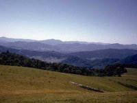 G08L0050.JPG