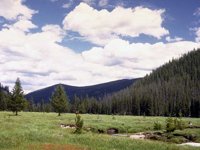 G08L0053.JPG
