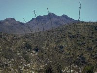 G08L0064.JPG