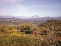G08L0075.JPG