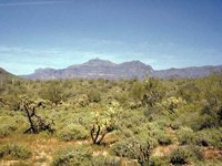 G08L0079.JPG