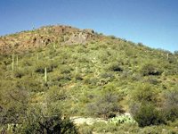 G08L0081.JPG