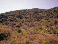 G08L0083.JPG