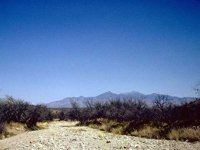 G08L0091.JPG