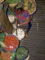 G06B0024.JPG