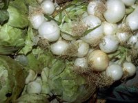 G06B0064.JPG