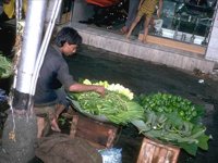 G06B0084.JPG