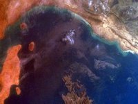 C01H0093.JPG