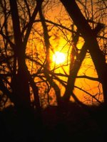 G05B0004.JPG