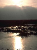 G05B0008.JPG