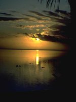 G05B0017.JPG