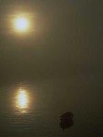 G05B0064.JPG