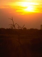 G05B0068.JPG