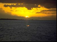 G05B0096.JPG