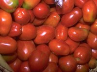 J02B0013.JPG
