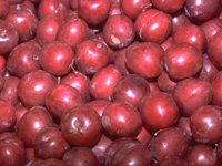 J02B0016.JPG