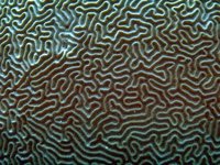 J02B0035.JPG