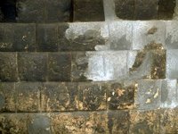 J02B0066.JPG