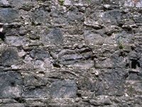 J02B0098.JPG