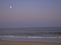G03A0019.JPG
