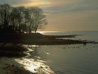 G03A0035.JPG