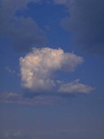 G03A0063.JPG