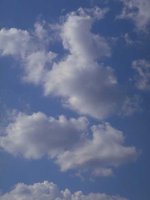 G03A0065.JPG