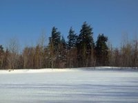 G03A0070.JPG