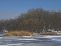 G03A0071.JPG