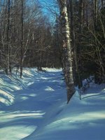 G03A0072.JPG