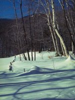 G03A0074.JPG