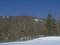 G03A0077.JPG