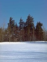 G03A0078.JPG