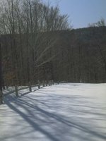 G03A0082.JPG