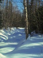 G03A0084.JPG