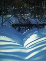 G03A0085.JPG