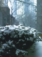 G03A0086.JPG