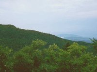 G03A0089.JPG