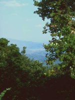 G03A0090.JPG