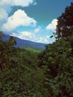 G03A0092.JPG