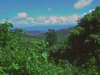 G03A0093.JPG