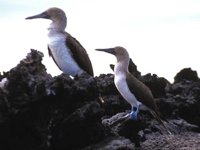B02B0001.JPG