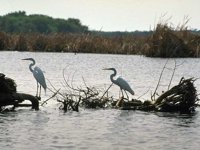 B02B0075.JPG