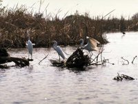 B02B0076.JPG