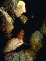 H04K0045.JPG